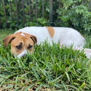 Meet your Posher, Kaitlyn